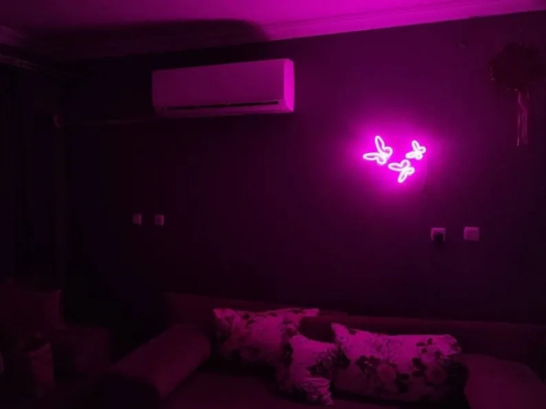 ENSEIGNE NÉON FLEX “PAPILLON”, CHOIX DE COULEURS ET DIMENSIONS – Image 2